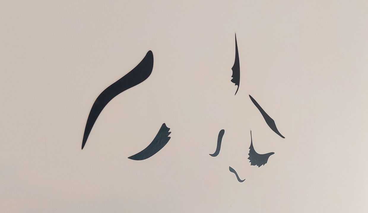 21